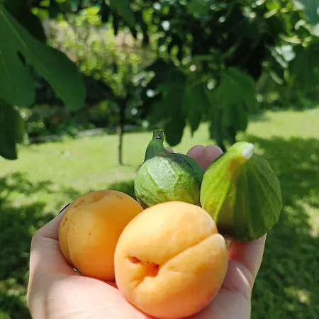 فندق مبيت وإفطار Corte Giorgi